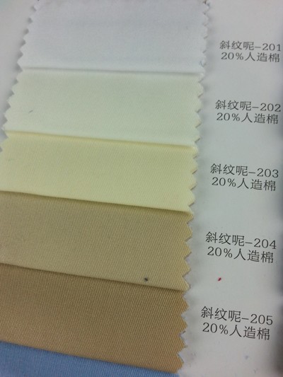 DG-LIFG  斜紋呢 正面照